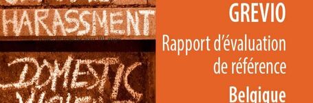 Submission of GREVIO Joint Shadow Reports: Belgium