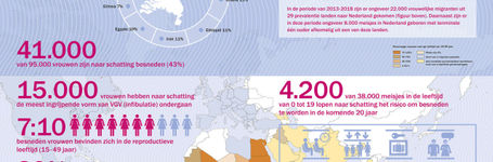 Pharos: A new study on FGM/C in the Netherlands