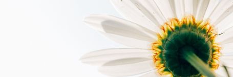 GAMS Belgium: being an FGM adviser in an asylum reception centre