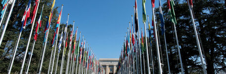 United Nations Human Rights Council adopts new resolution on the elimination of female genital mutilation/cutting at its 59th session