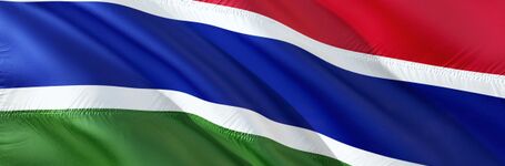 Joint Statement on the Tragic Death of a One-Month-Old from FGM/C in The Gambia