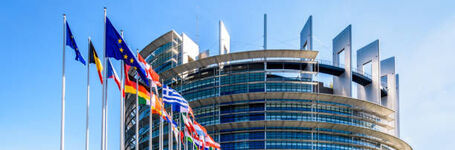 2024 Guide on FGM for EU Decision-Makers