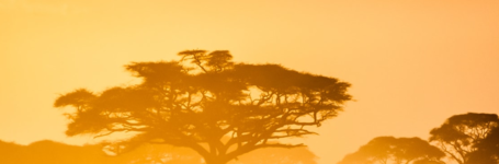 Research paper on FGM Emerging Trends among the Kisii, Kenya