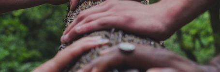 Consultancy - Youth-expert Facilitation wanted!