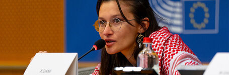 End FGM EU Contributes to CHAT Plus Closing Panel at the European Parliament